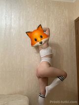 Миниатюра Индивидуалка Лиса Центральный Фотография 