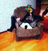 Миниатюра Индивидуалка Кира Фотография 