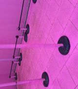 Миниатюра Мужчина Андрей ЗИП Фотография 